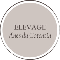 elevage